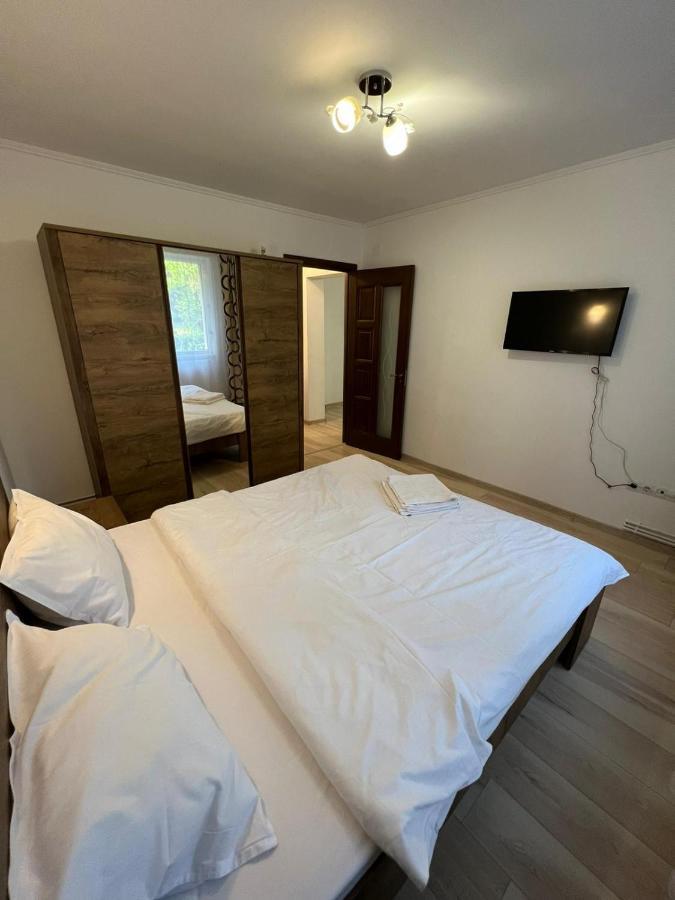 Gold Apartments Baia Mare Extérieur photo